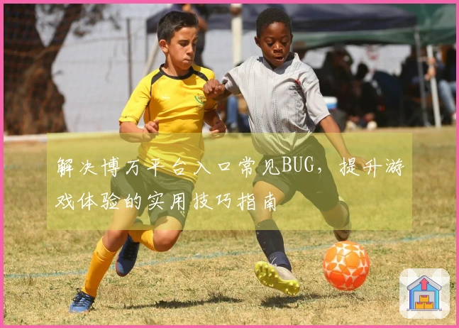 解决博万平台入口常见BUG，提升游戏体验的实用技巧指南