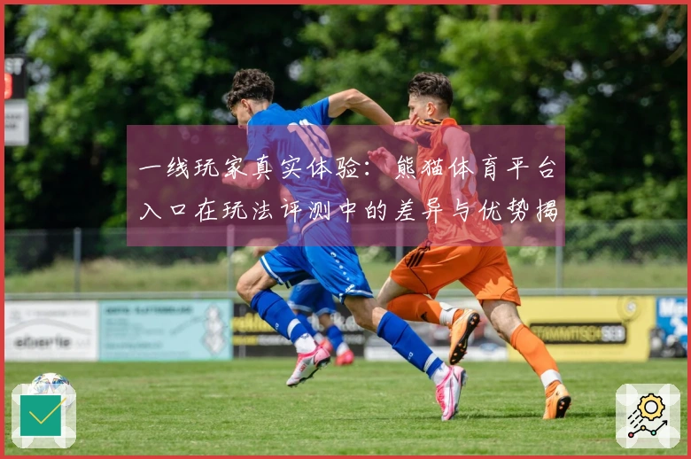 一线玩家真实体验：熊猫体育平台入口在玩法评测中的差异与优势揭秘