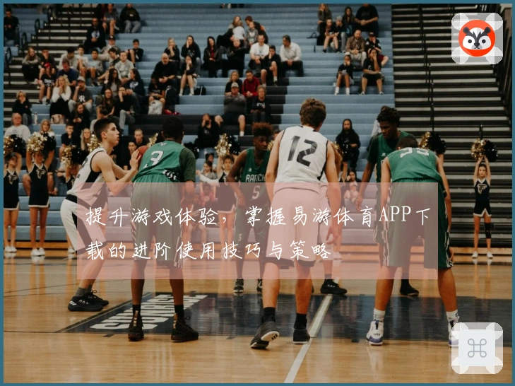 提升游戏体验，掌握易游体育APP下载的进阶使用技巧与策略